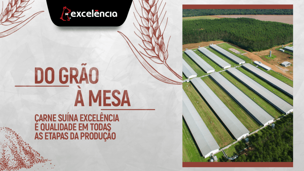 site-excelencia_artigo_do_grao_a_mesa