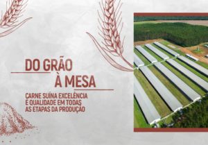 site-excelencia_artigo_do_grao_a_mesa